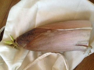 IMG_3136.jpg