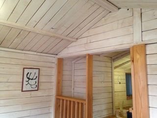 IMG_3459.jpg