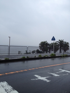 IMG_8482.jpg