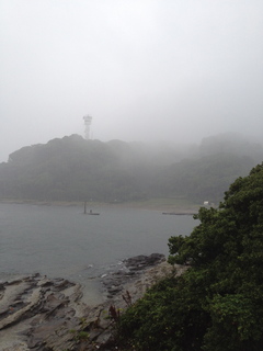 IMG_8490.jpg