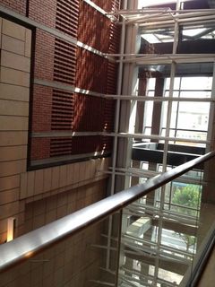IMG_8727.jpg
