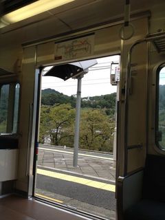 IMG_8743.jpg