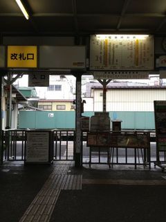 IMG_8746.jpg