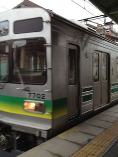 IMG_8751.jpg