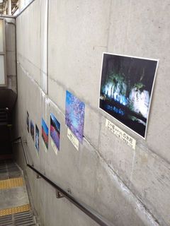 IMG_8753.jpg