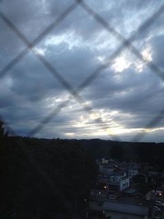 IMG_8758.jpg