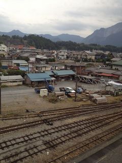 IMG_8771.jpg