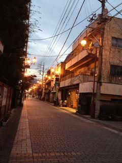 IMG_8774.jpg
