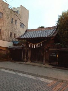 IMG_8775.jpg